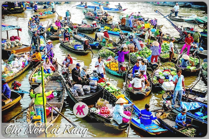 Du lịch Mỹ Tho - Du lịch Cần Thơ 2 ngày giá hot khởi hành Hè 2025